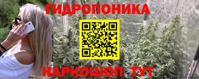 мяу мяу мука Тара