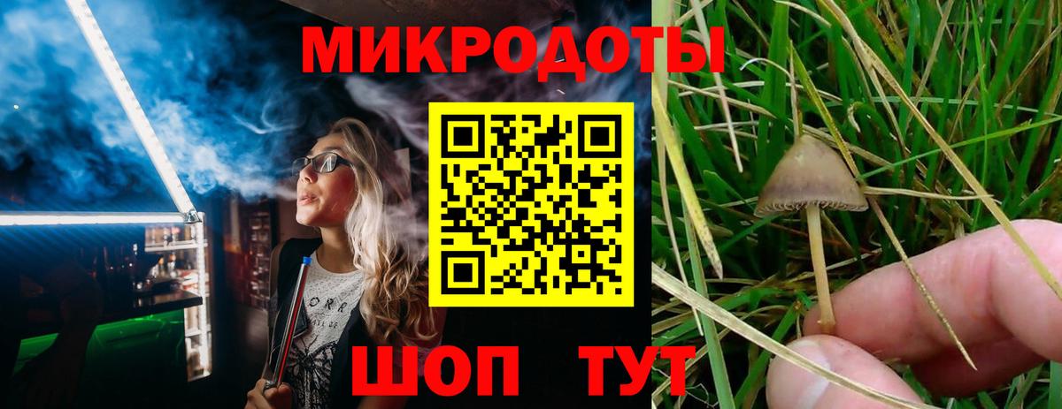 Моздок  Псилоцибиновые грибы Cubensis  Вход с VPN 