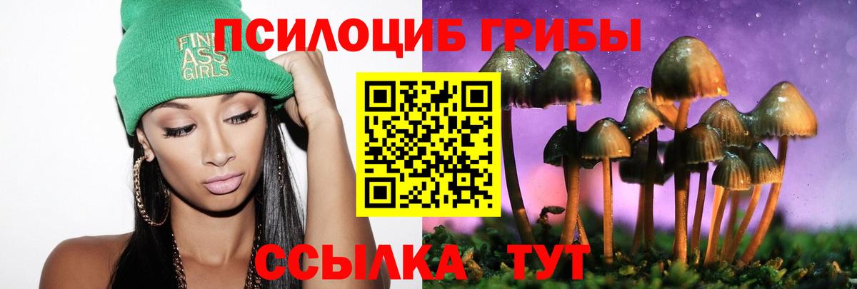Псилоцибиновые грибы ЛСД Моздок